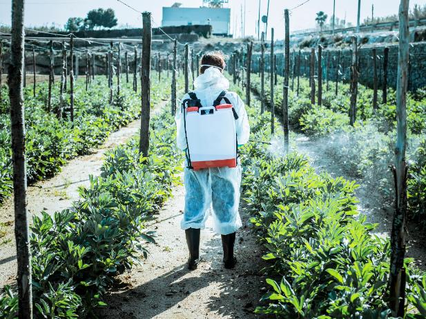 Application of plant protection products with protective equipment on agricultural holding